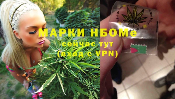 ГАЛЛЮЦИНОГЕННЫЕ ГРИБЫ Алзамай