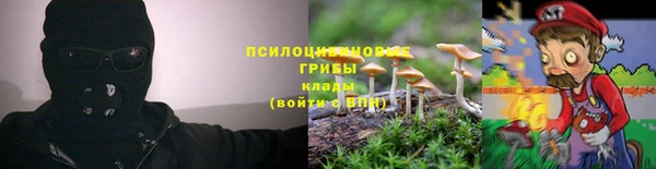 мяу мяу кристалл Алексин