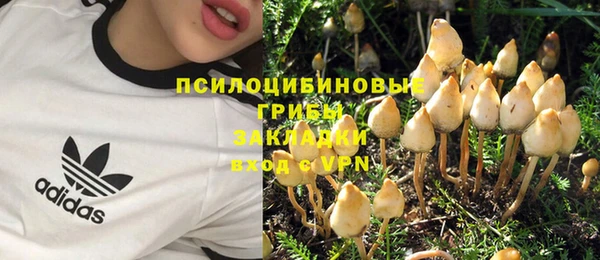 мяу мяу кристалл Алексин