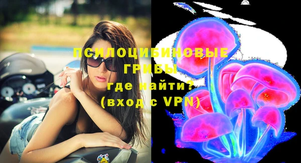 ГАЛЛЮЦИНОГЕННЫЕ ГРИБЫ Алзамай